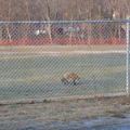 IMG 2756